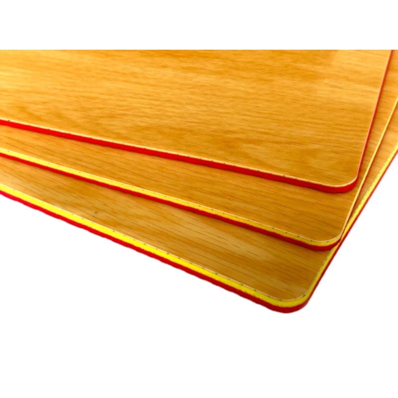 Professional Table Tennis Flooring   Anti-Slip, Shock-Absorbing & ITTF Approved